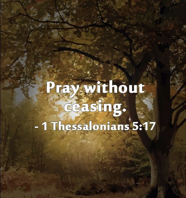 1BB0361F-C2A0-418D-81CC-4402E999F7CE