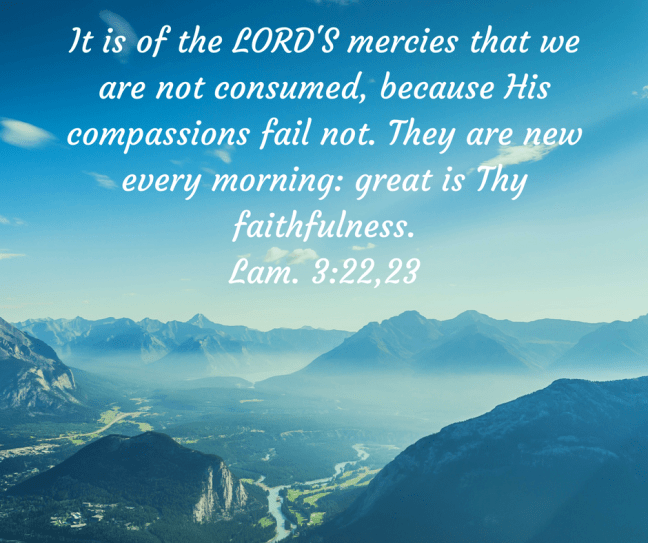 8B151759-7DE7-47AD-B299-F5131FFFB778