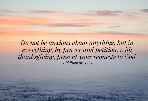 C0D229C1-5568-4EAB-A509-3F1D831C0F13