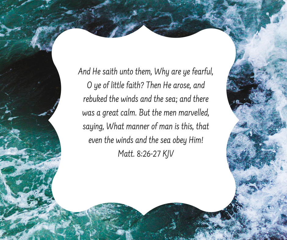 41D8B9AB-D3BF-4C95-94F5-249C5BCB2C25