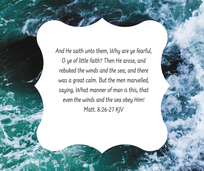 41D8B9AB-D3BF-4C95-94F5-249C5BCB2C25