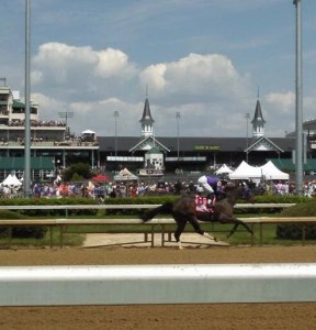 83369005-6FC6-46AD-924D-CEB84B0455B1