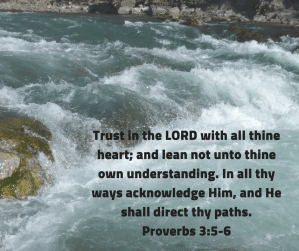 9B1B3DF4-9C70-4265-A04E-C5EEE3D32768