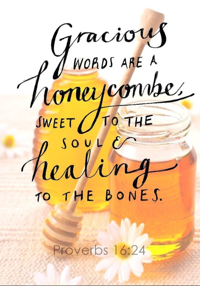 0DE38B35-06E0-496E-8FEF-738AA375387A