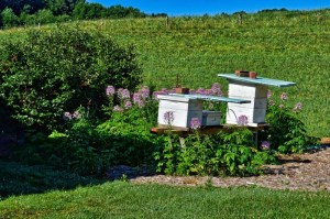 0EA9E021-DB11-44FD-946A-B21277A4FCBA