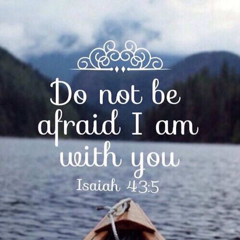 785D7348-6597-469B-AA5C-732224ACF26F