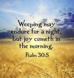 82678391-E28D-479C-BD0D-4C874D62E47E