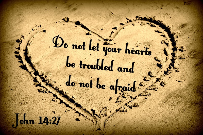 BFD55E5E-968D-4425-9B2F-FFCD8B18D058