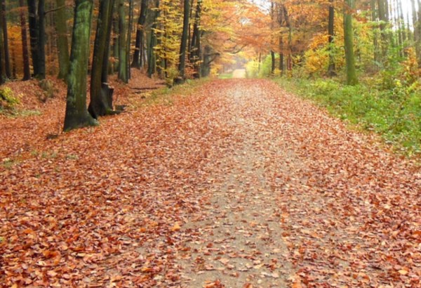 26AFED6C-8216-4472-9C07-38BAD15981F5