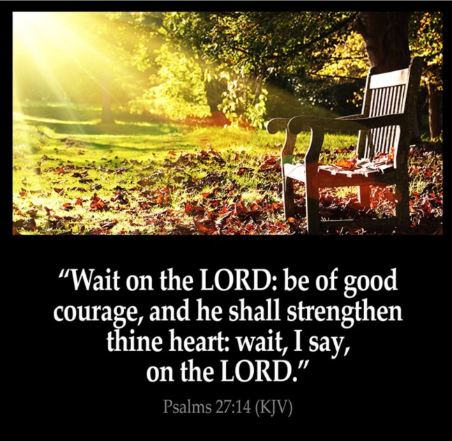 34264403-D612-4CF9-919B-B69F7474684F