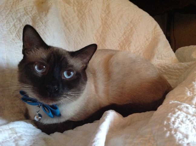 99253722-2F3C-4CA8-B3A5-66771FAF4C46