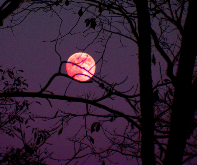 57EDA67A-633B-49FA-AADF-733675765539