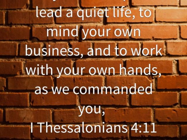 6a970297-5640-4603-a413-6591d3f55710