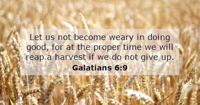 0C2EEEB8-CF2A-4D0E-A961-A96E87D3750D