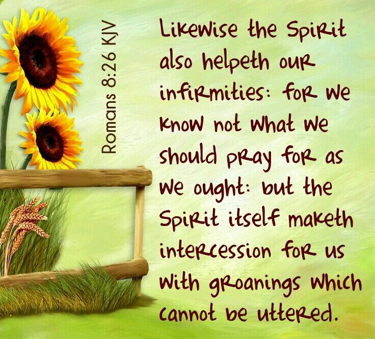 9BC0A462-A9F6-4C27-B5B8-B534436EF165