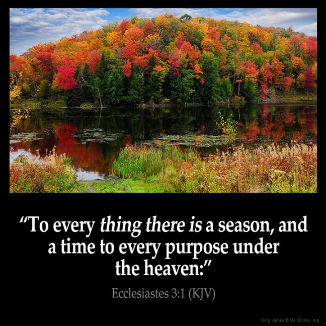 B207B70A-56C3-4EF0-9417-0556CA8CC850