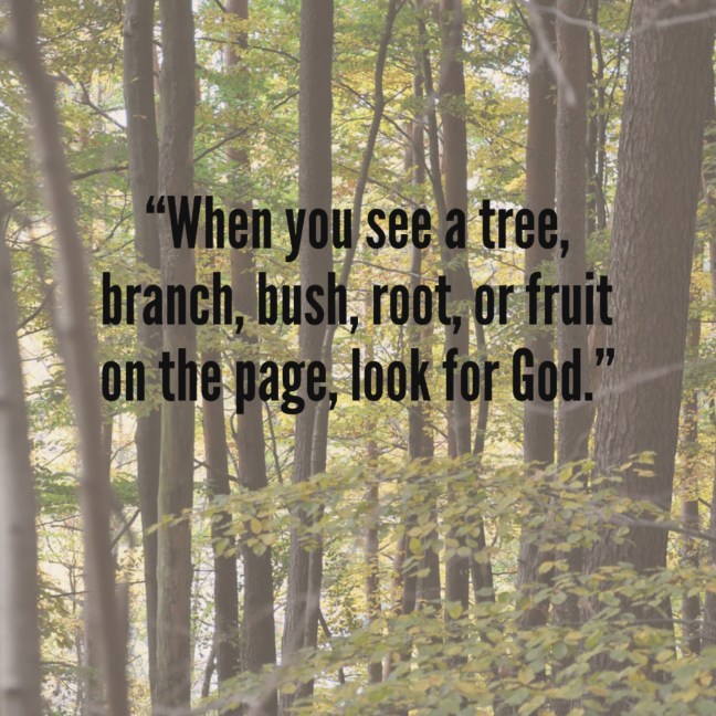 DEC7833B-A783-41DA-B443-213272AF7EC5