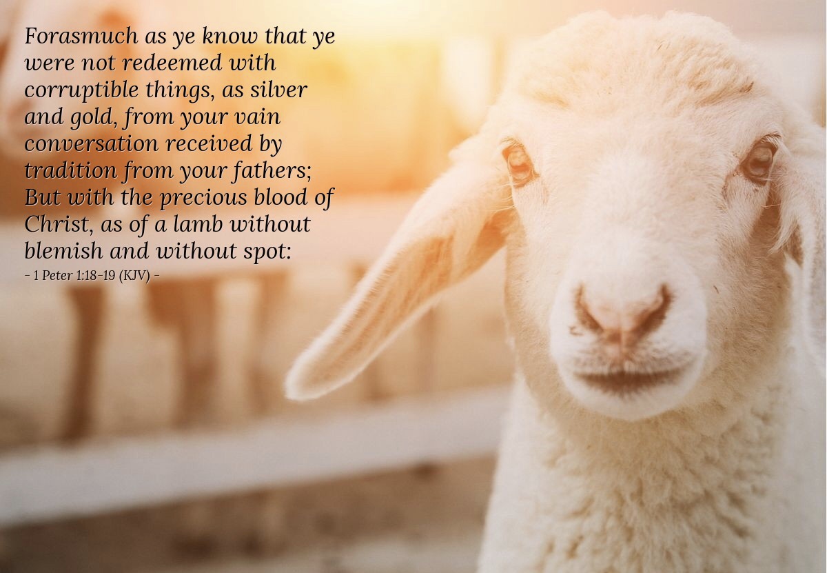 4383BDE9-8F39-46F3-ABCA-58BDC5B8BCB4