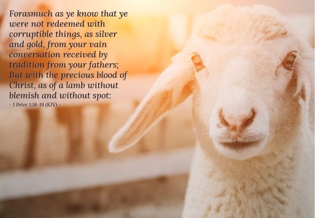 4383BDE9-8F39-46F3-ABCA-58BDC5B8BCB4