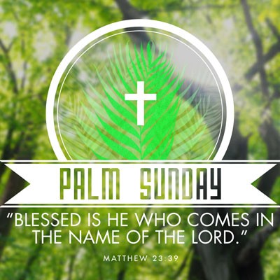 52B19646-717E-4122-814F-27CE36CABED2