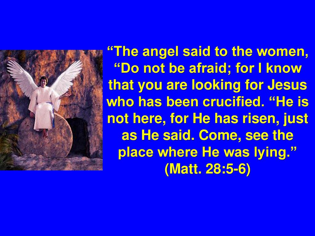 (Matt. 28:5-6)