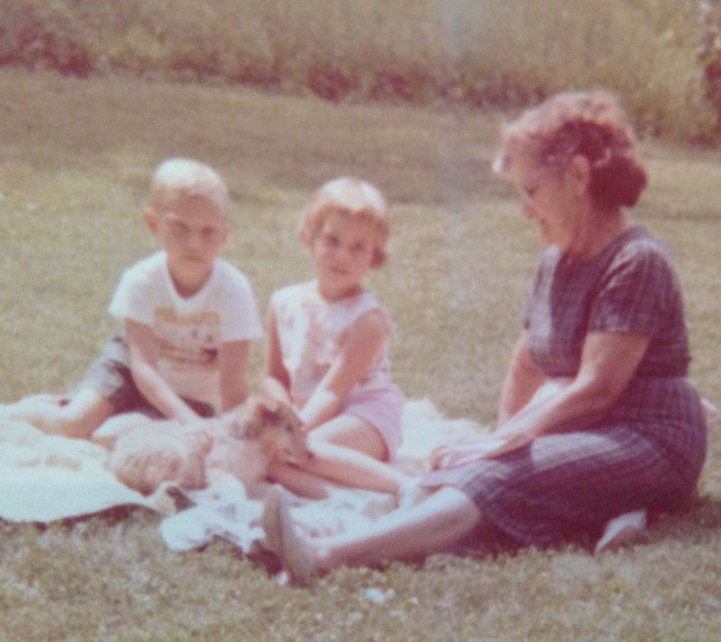 CA589675-DC9B-4CEE-AAFF-9C0E25669D26