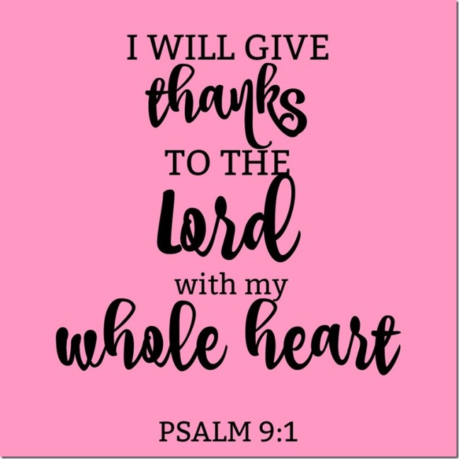 7F469DF3-C3DB-4FEE-A41E-AA4A403F30B9