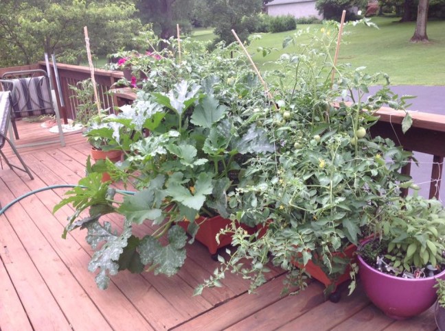 DCCD851D-57F2-423C-8E45-076909A90D10