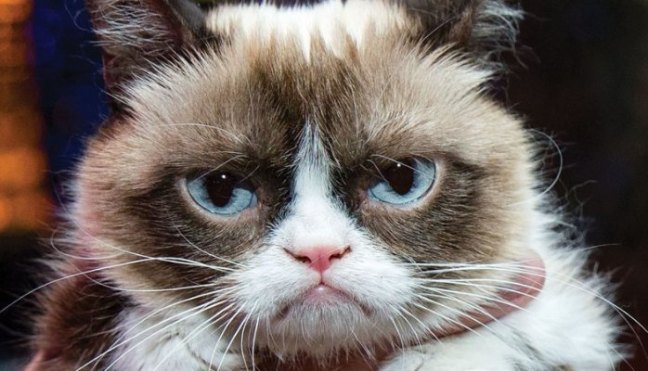 9AB4FFE3-D486-4C74-8E11-A6F745F81289