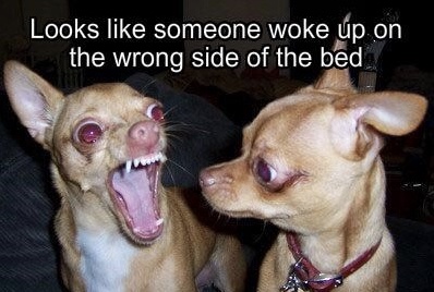 B0B716FE-C11E-4A45-AD80-FD7DCDAC6997