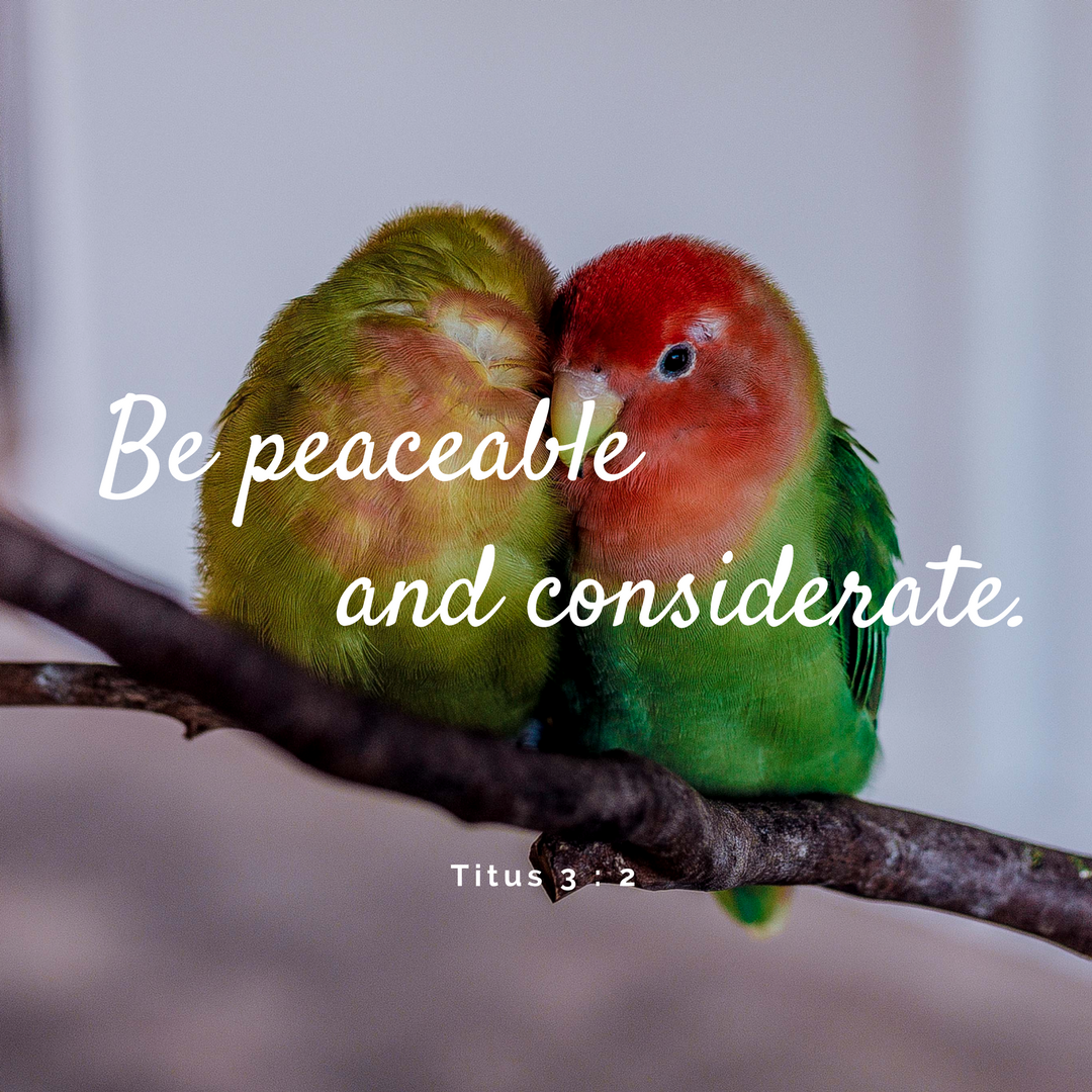 906A6A7F-CA1D-4CB0-B919-B7BC53D8540A