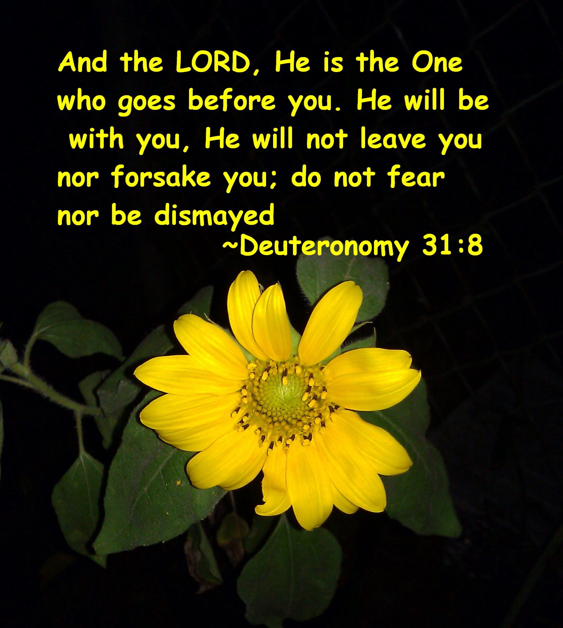 1CD659A4-0A44-412C-BBAE-6FF2EC6BE42A