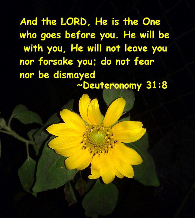 1CD659A4-0A44-412C-BBAE-6FF2EC6BE42A