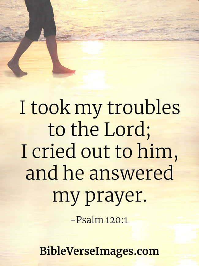 DCF6FCEB-8316-4747-90A6-5E5B2C05AC44