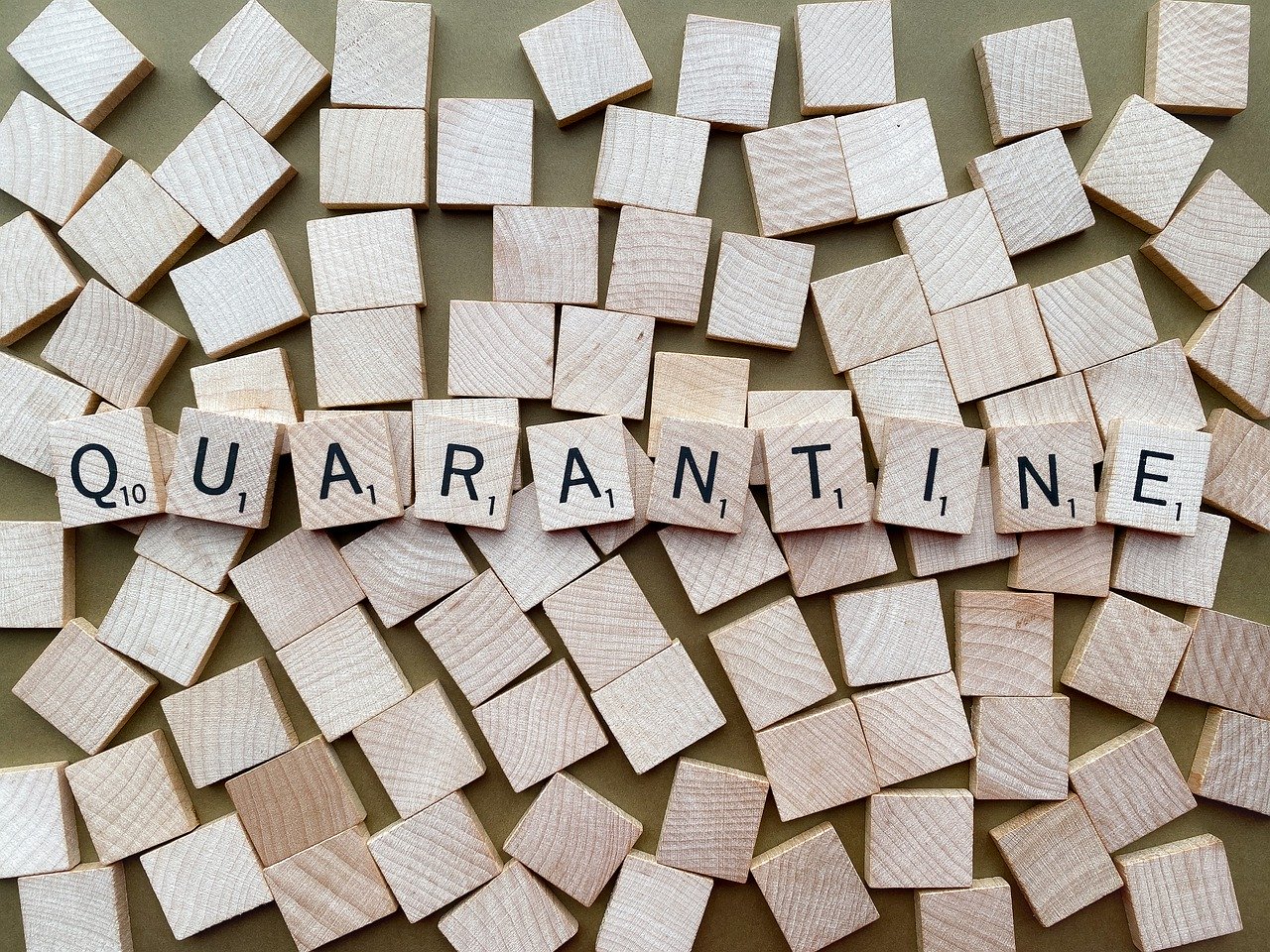 E1343460-A30D-4525-9358-E6E22D358E57