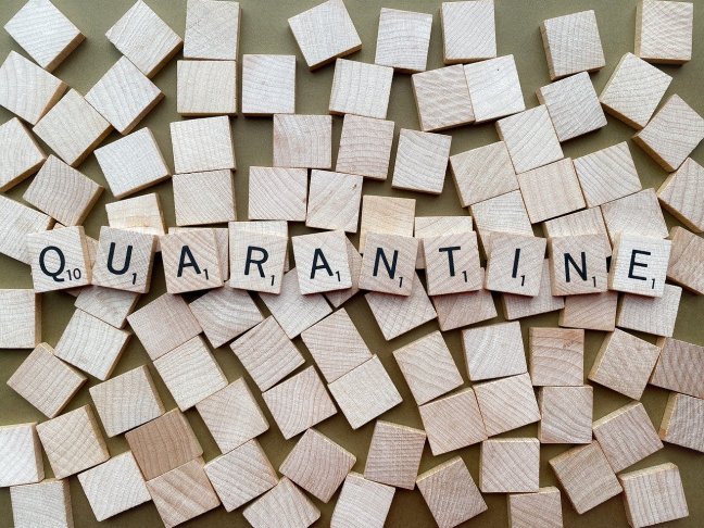 E1343460-A30D-4525-9358-E6E22D358E57