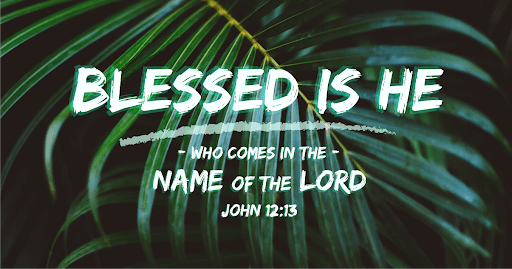 F2715169-EBFE-418A-81FE-909A0E2EB503