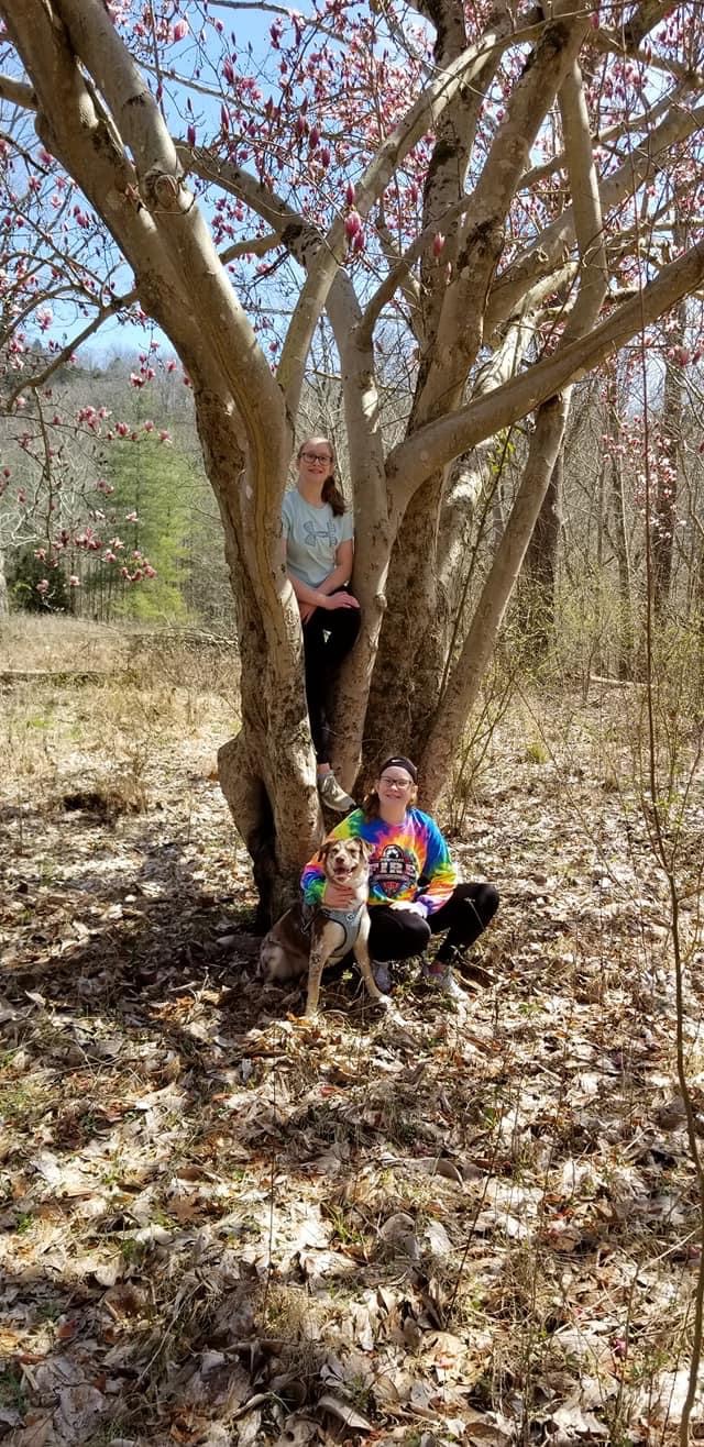 FDAEE82F-AE22-4EFD-8294-91AD9E41303F