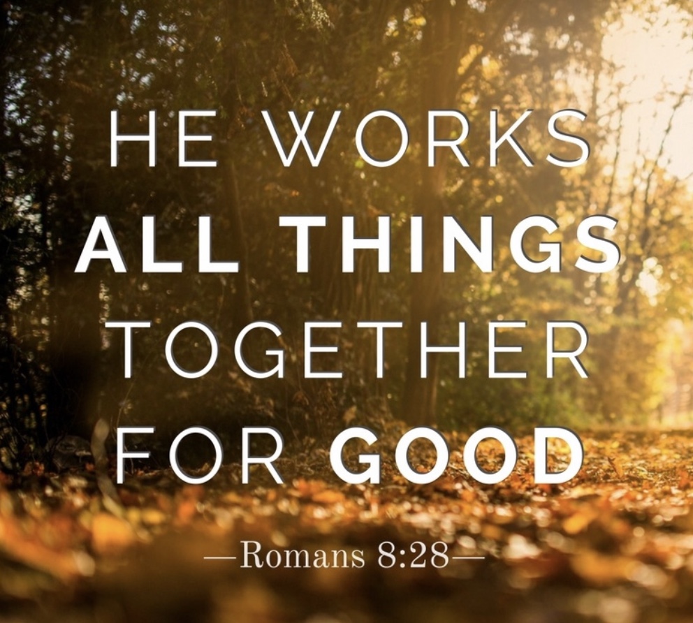 155F4116-D18B-4F97-8EDB-9F63F80EDF59