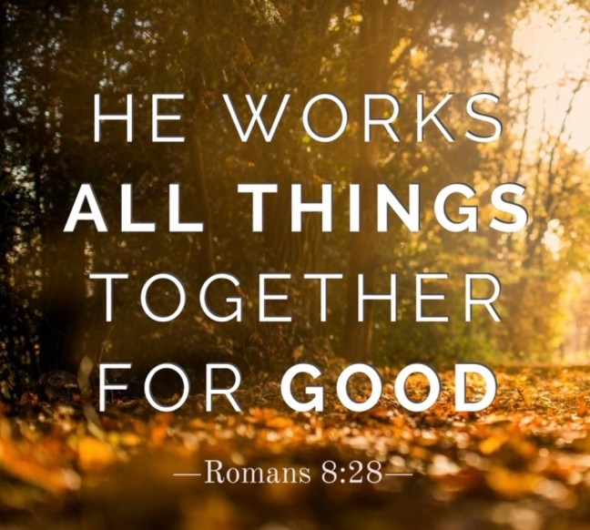 155F4116-D18B-4F97-8EDB-9F63F80EDF59